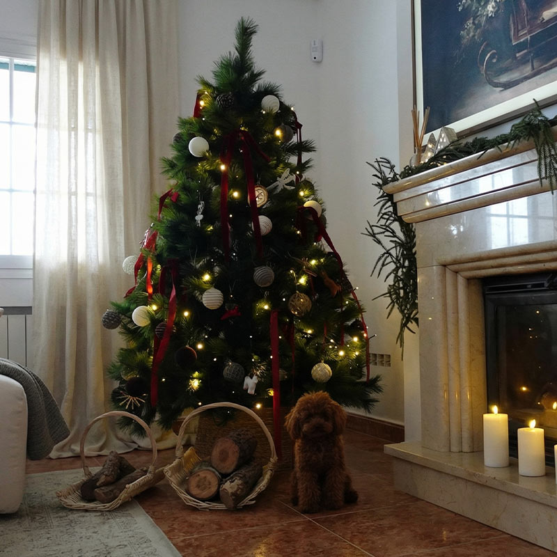 Lazo Granate (6 uds)