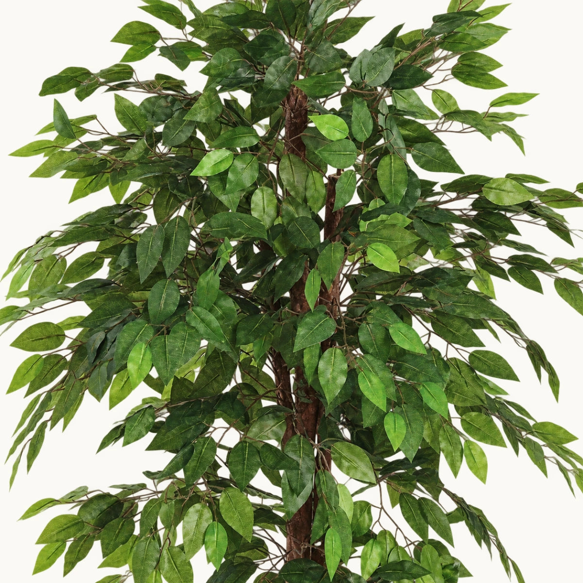 Ficus-Artificial-180cm-Stilo-Decor-1