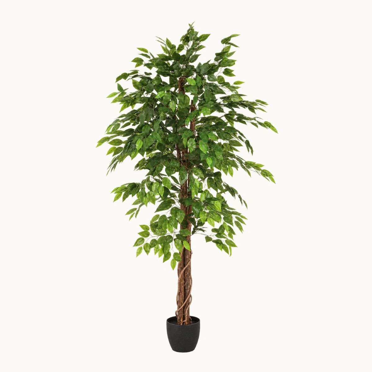 Ficus-Artificial-180cm-Stilo-Decor