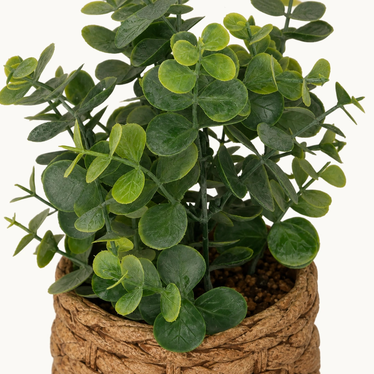 Maceta-eucalipto-Olly-Stilo-Decor-2