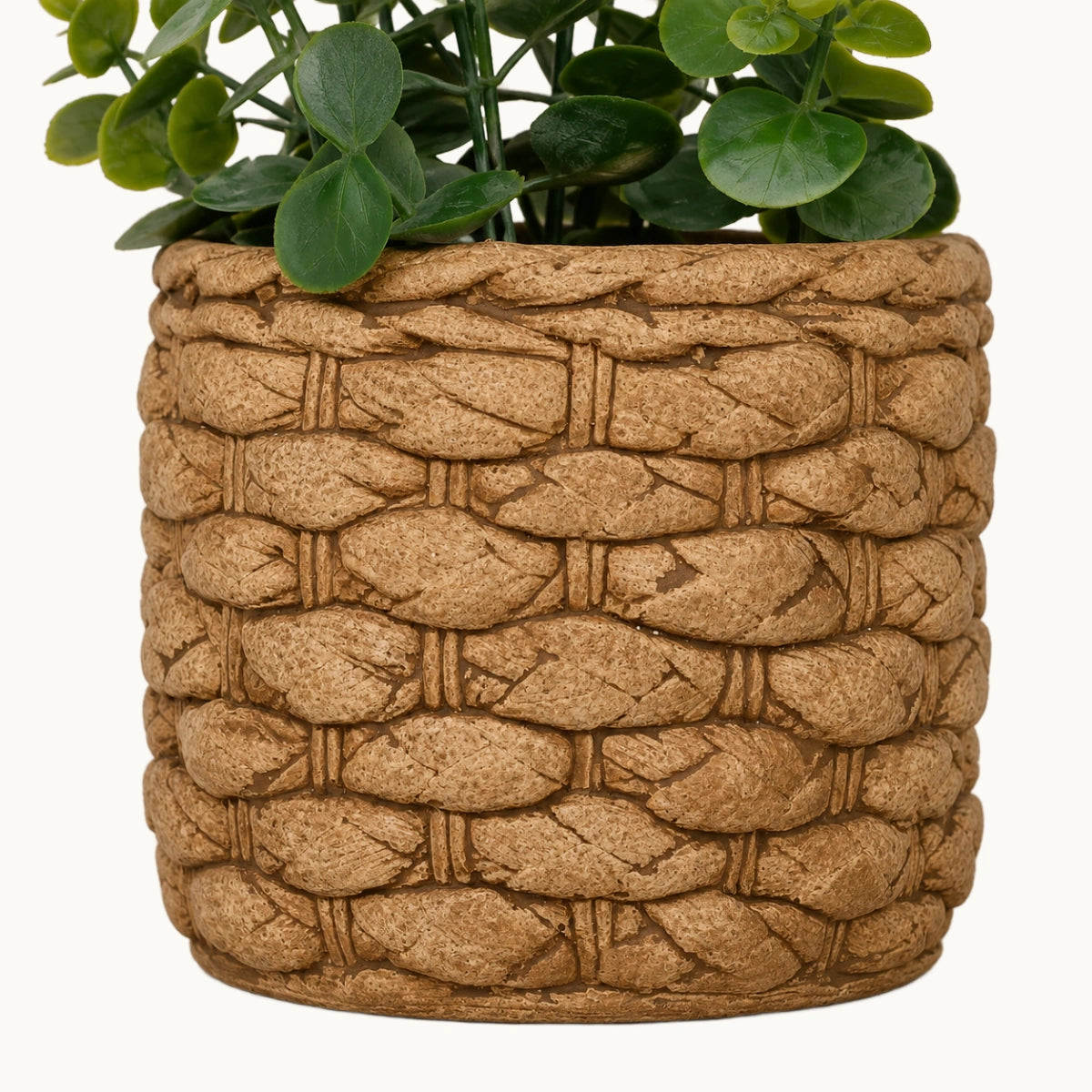 Maceta-eucalipto-Olly-Stilo-Decor-4