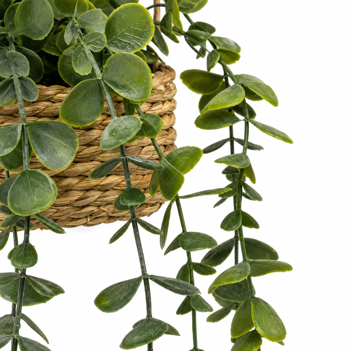 Planta-colgante-samy-Stilo-Decor-1
