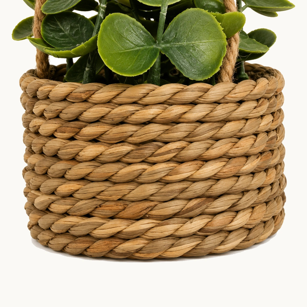 Planta-colgante-samy-Stilo-Decor-4