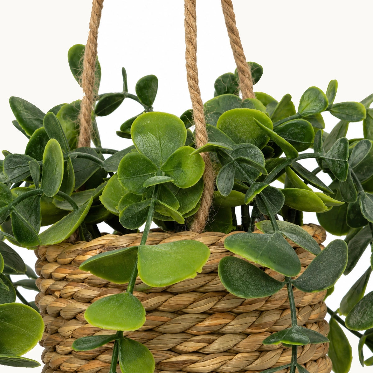 Planta-colgante-samy-Stilo-Decor-5