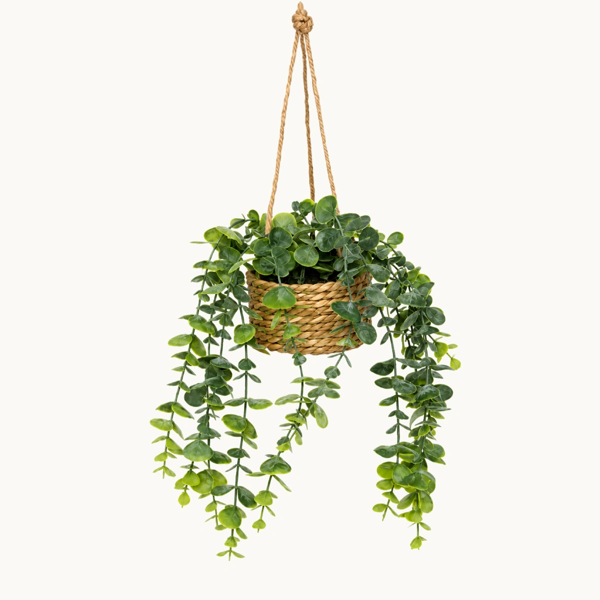 Planta-colgante-samy-Stilo-Decor