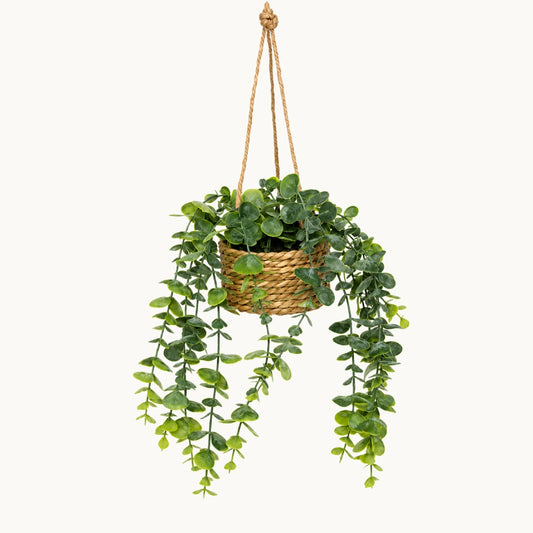Planta-colgante-samy-Stilo-Decor